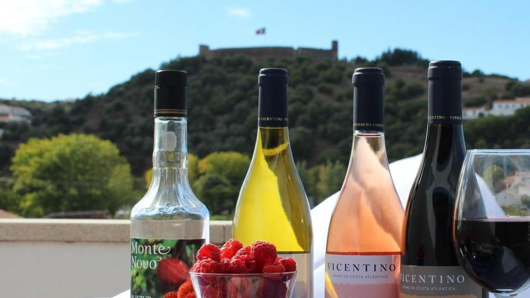 Prove os vinhos da nossa costa Vicentina e aprecie a vista!